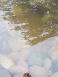 20180908_154923.jpg 20180908_154923.jpg
