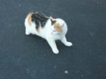 100_6963.JPG