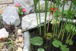 pond hardscape.JPG