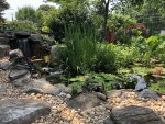 IMG_4420.jpeg