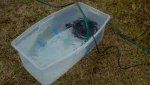 2012-01-11_16-56-47_916.jpg