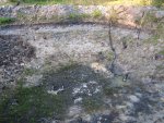 IMG_0472.JPG IMG_0472.JPG