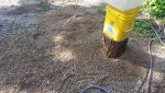 Pile of tiny bits from washing pea gravel.jpg