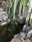 IMG-1909.jpg IMG-1909.jpg