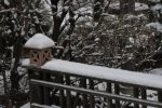 DSC_6461.JPG DSC_6461.JPG