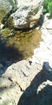20200513_102443.jpg 20200513_102443.jpg