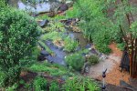 pond rain mess 02.JPG pond rain mess 02.JPG