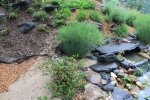 pond rain mess 03.JPG pond rain mess 03.JPG