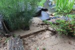 pond rain mess 06.JPG pond rain mess 06.JPG
