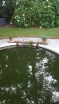 20200610_065916.jpg 20200610_065916.jpg
