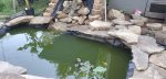 pond in progress 2.jpg