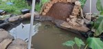 pond with raw waterfall.jpg