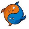 bigfish71