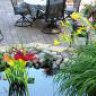 MNPond
