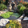 ND pond