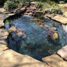 Dapper Ponds