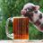 Kris P Bacon
