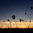 TallGrassBigSky