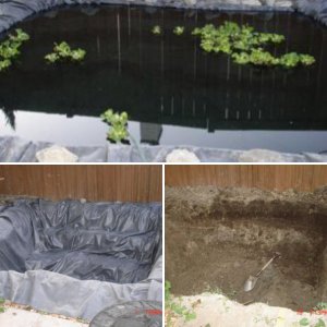 3000 Gallon Pond with water fall and stream