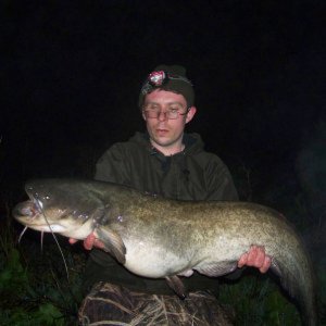 catfish