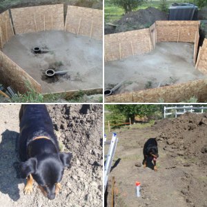 Strat of the pond and SNAKE