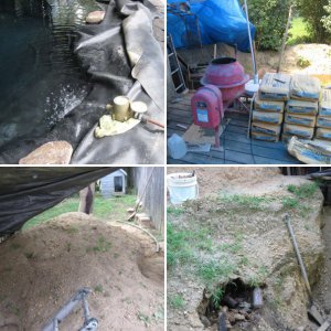 New Pond