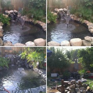 Re-dug my pond