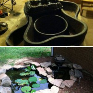 Guitarman023's Pond progress