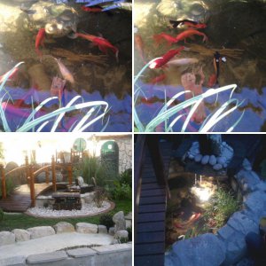 My garden and pond works 2