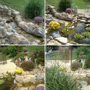 Shannon's Pond