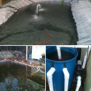 Problem Pond