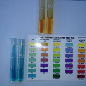 Water and Concrete test