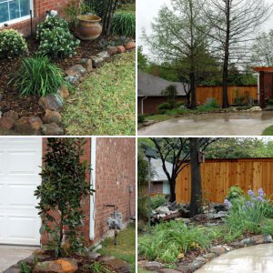 Our New Yard