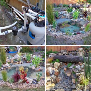 Liner Pond Destroyed By Rats-Twice