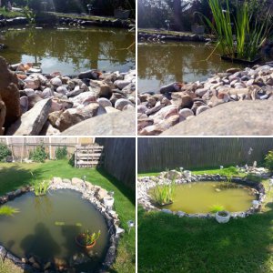 New pond project 2013