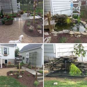 DMB21 1st Pond Project