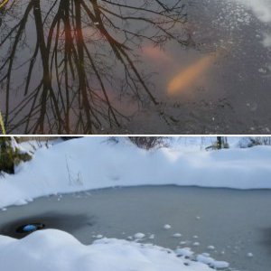 Winter - Ugh!