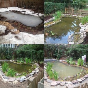 pond construction