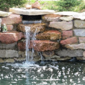 around the pond