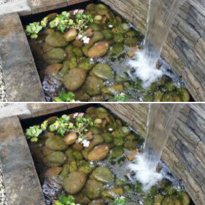 pond