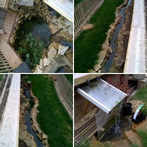 Finished Pond Set Up
