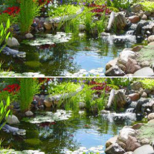 Koi Ponds & Water Gardens In Rochester NY
