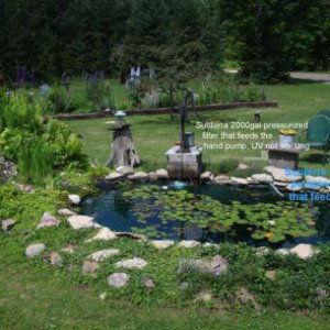 description of pond