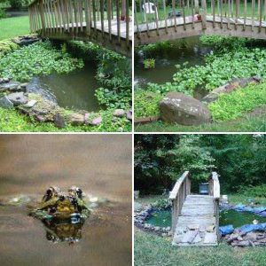 Mcgiiver's Pond Construction