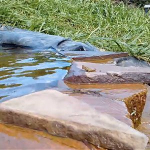 Peace Farm Watercourse