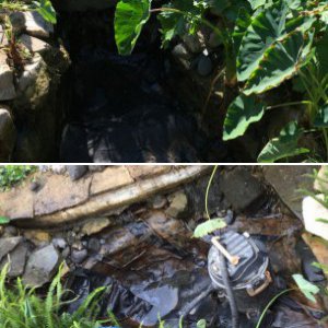 Pond reset