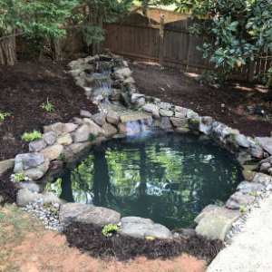 Our new pond
