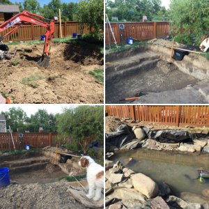 Building my dream pond