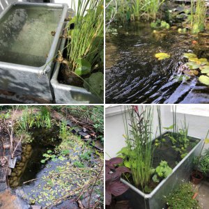 Ponds