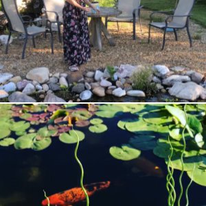 Leonard Carpenter’s Pond